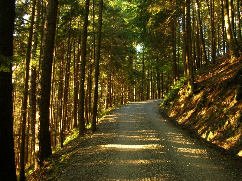 Gafadura 01_09_2010 (14).JPG
